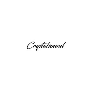 Micro CRYSTALSOUND DMC100