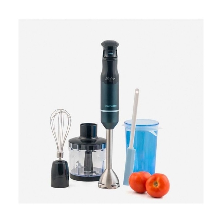 Mixeur plongeant Universal Blue TWISTY TOTAL 80 779