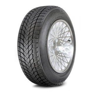 195/55 R16 87H TL WINTER LANDER