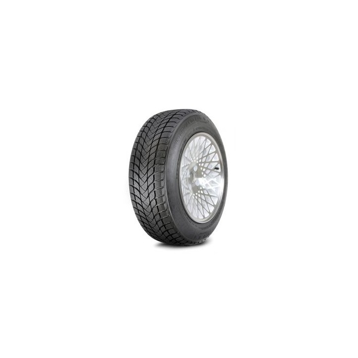 215/50 R17 XL 95H TL WINTER LANDER