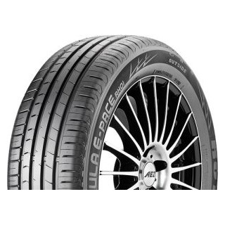 225/60 R16 XL 102V TL RH01