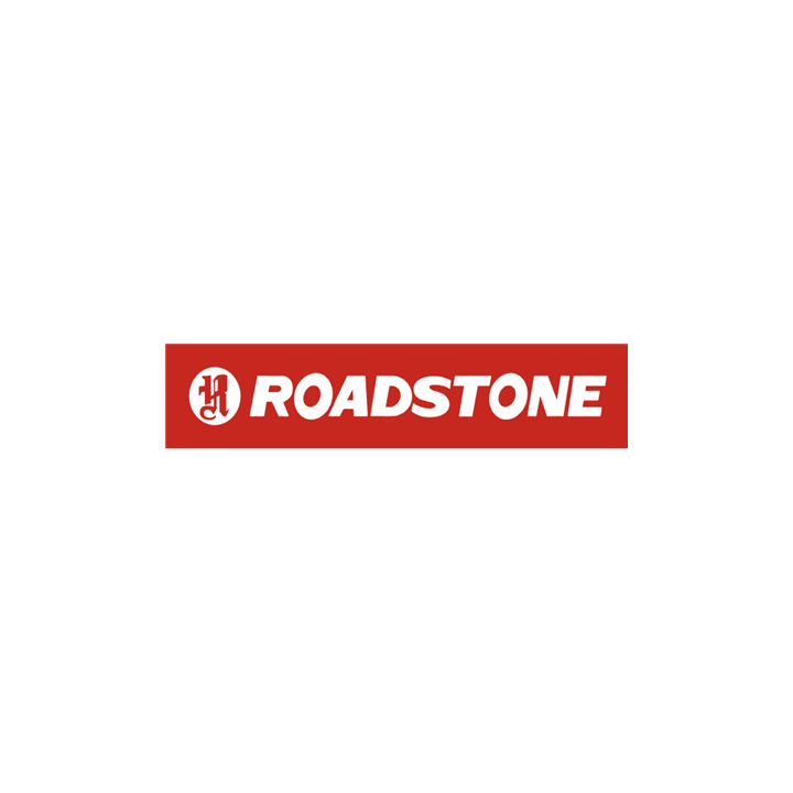 205/55 R16 91T TL EUROVIS ALPINE
