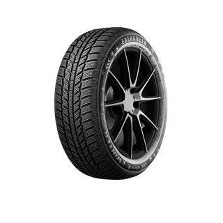 215/65 R15 96H TL EW62 3PMSF