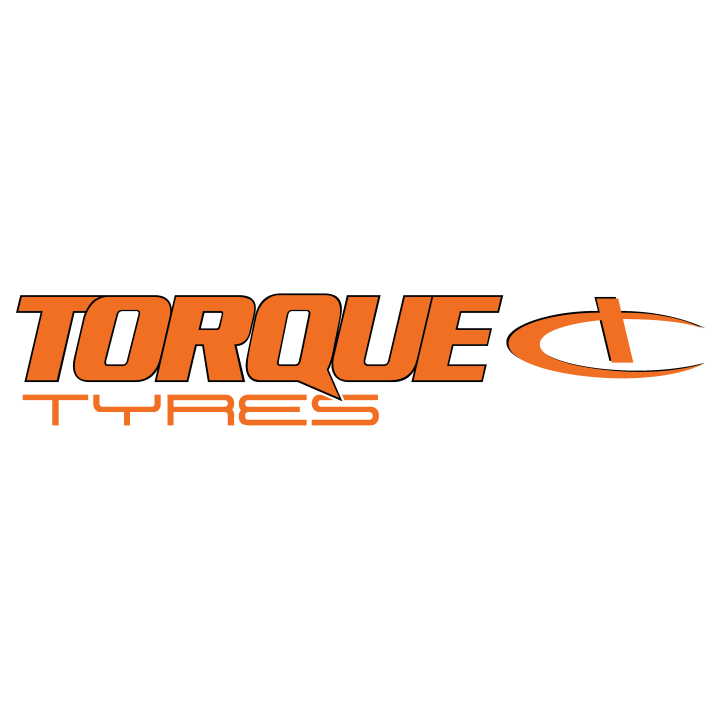 215/60 R16 95V TL TQ021