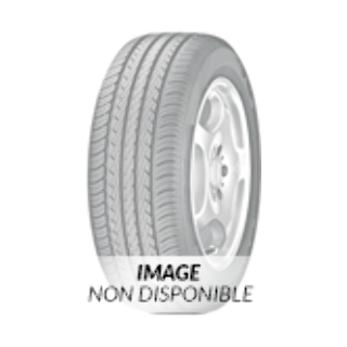 235/65 R17 108T TL WINMASTER ARW 2