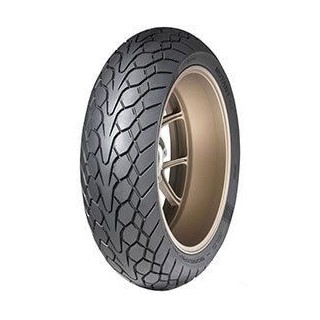 160/60 ZR17 69W TL MUTANT M+S (R)