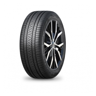 215/45 R17 XL 91V TL WINTER PRO MAX