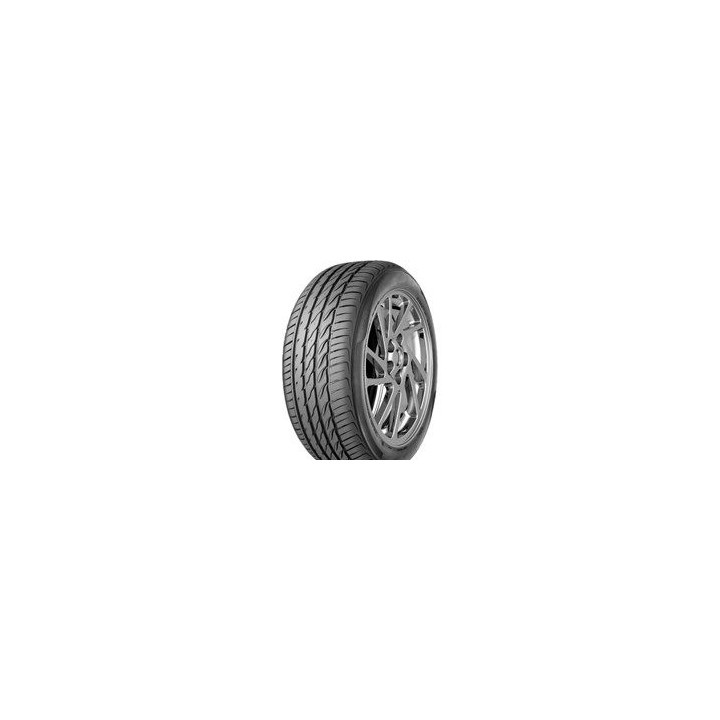 225/55 R17 101W TL LEONE L1