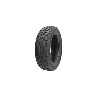 225/55 R19 99H TL MONT PRO WP882