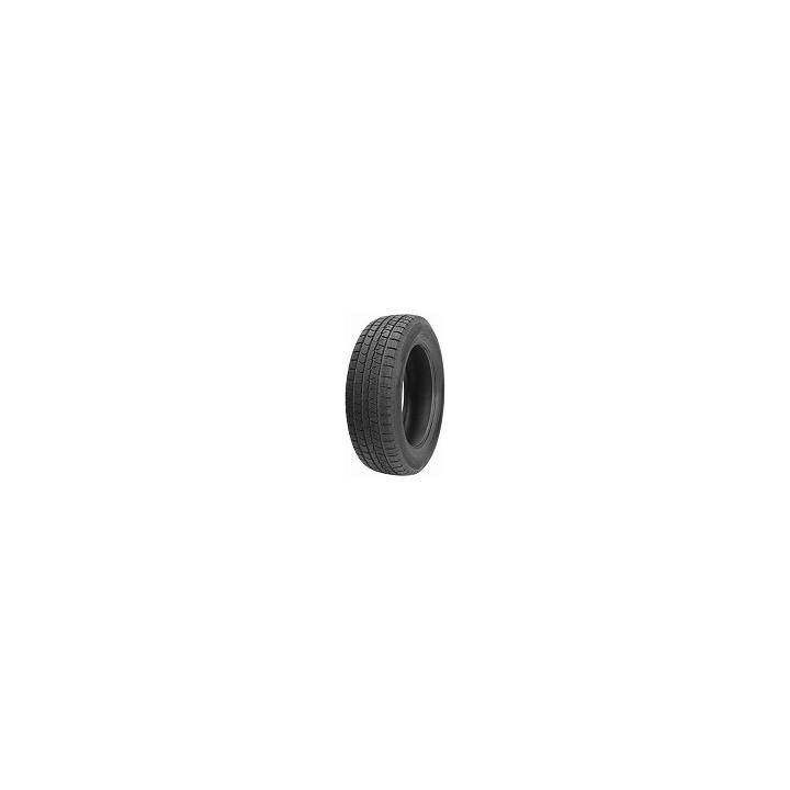 225/55 R19 99H TL MONT PRO WP882