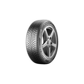 195/60 R16 89H TL WINTECH NEWGEN EVC
