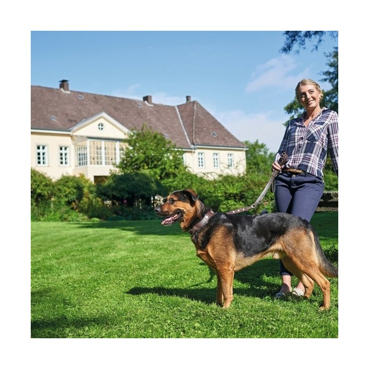 Collier pour Chien Hunter Swiss 38 43.5 cm