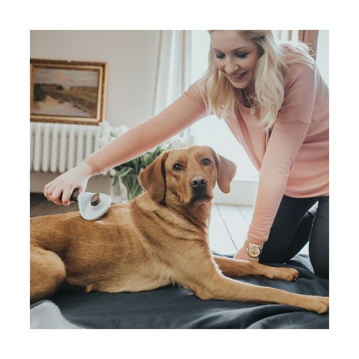 Brosse à détartrer Hunter 51 x 37 x 33 cm