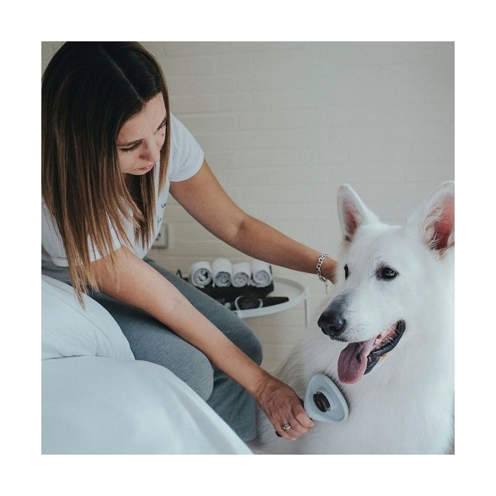 Brosse à détartrer Hunter 51 x 37 x 33 cm