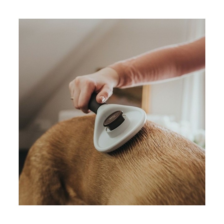 Brosse à détartrer Hunter 51 x 37 x 33 cm