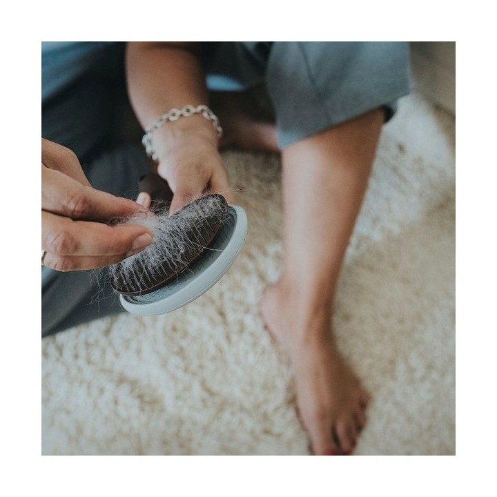 Brosse à détartrer Hunter 51 x 37 x 33 cm