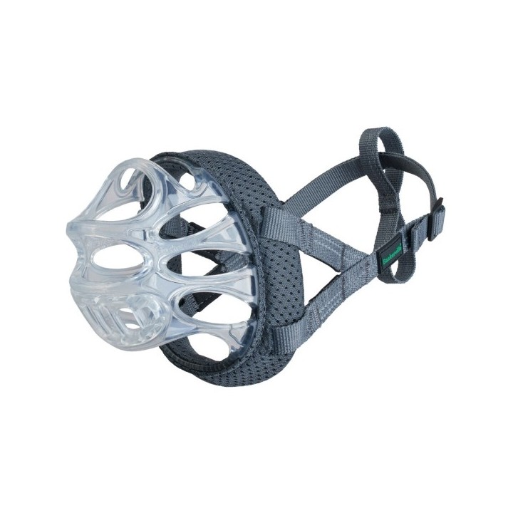 Muselière Company of Animals Transparent 6