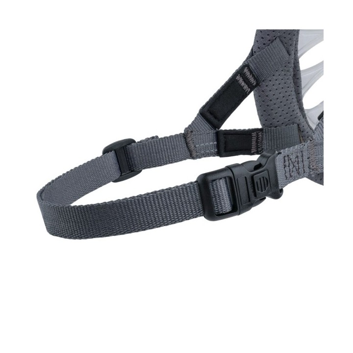 Muselière Company of Animals Transparent 6