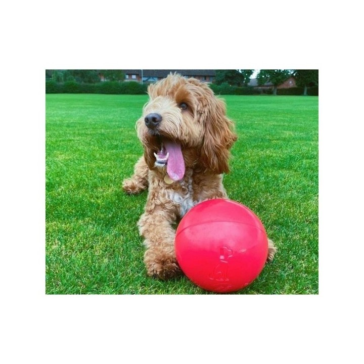 Jouet pour chien Company of Animals Boomer Bleu (100mm)