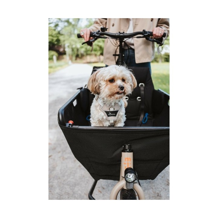 Harnais pour Chien Hunter DIVO UP Beige L