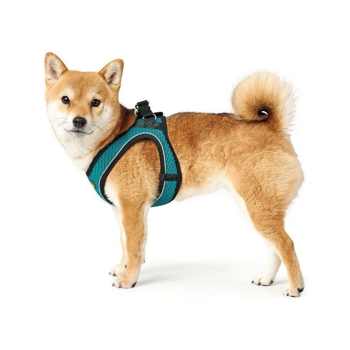 Harnais pour Chien Hunter Hilo Comfort Turquoise Taille XS (35 37 cm)