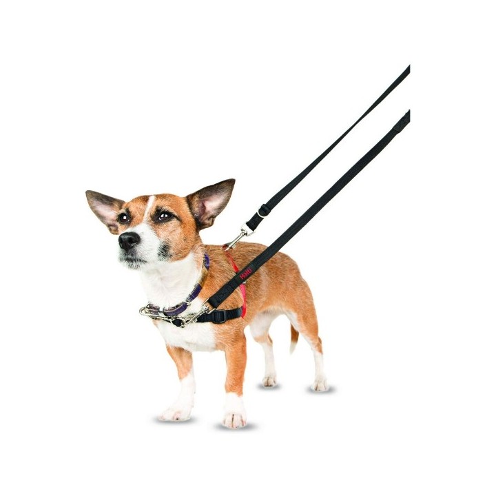 Harnais pour Chien Company of Animals Halti Noir/Rouge Taille S (36 64 cm)