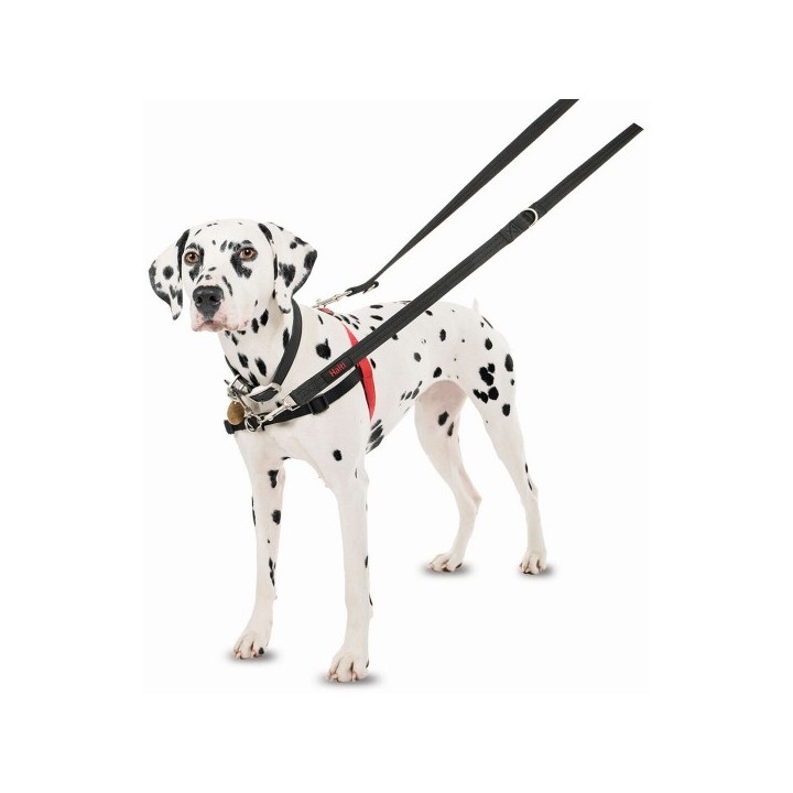 Harnais pour Chien Company of Animals Halti Noir/Rouge Taille S (36 64 cm)