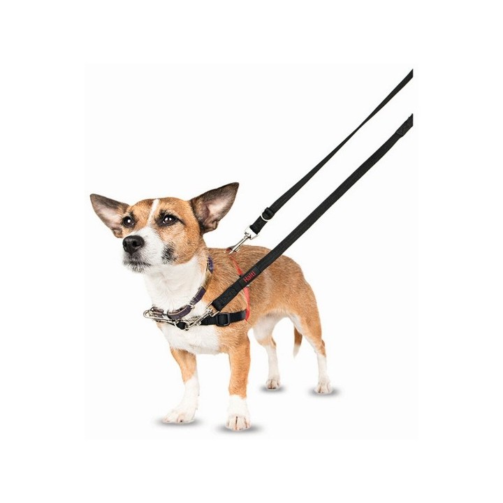 Harnais pour Chien Company of Animals Halti Noir/Rouge Taille S (36 64 cm)