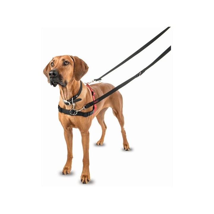 Harnais pour Chien Company of Animals Halti Noir/Rouge Taille S (36 64 cm)