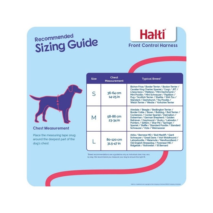 Harnais pour Chien Company of Animals Halti Noir/Rouge Taille S (36 64 cm)