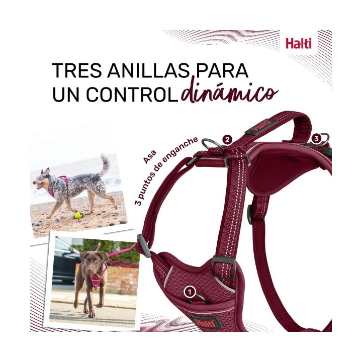 Harnais pour Chien Company of Animals Bordeaux XL 50 78 cm