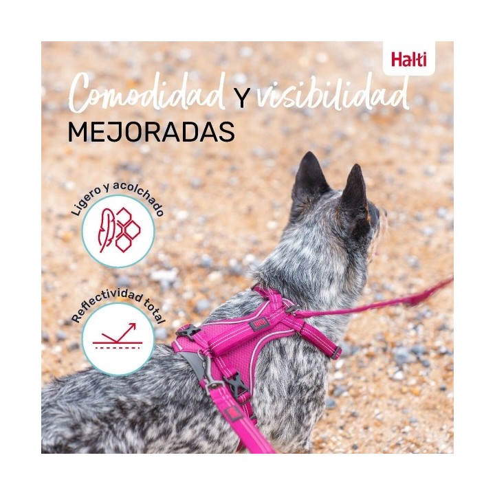 Harnais pour Chien Company of Animals Bordeaux XL 50 78 cm