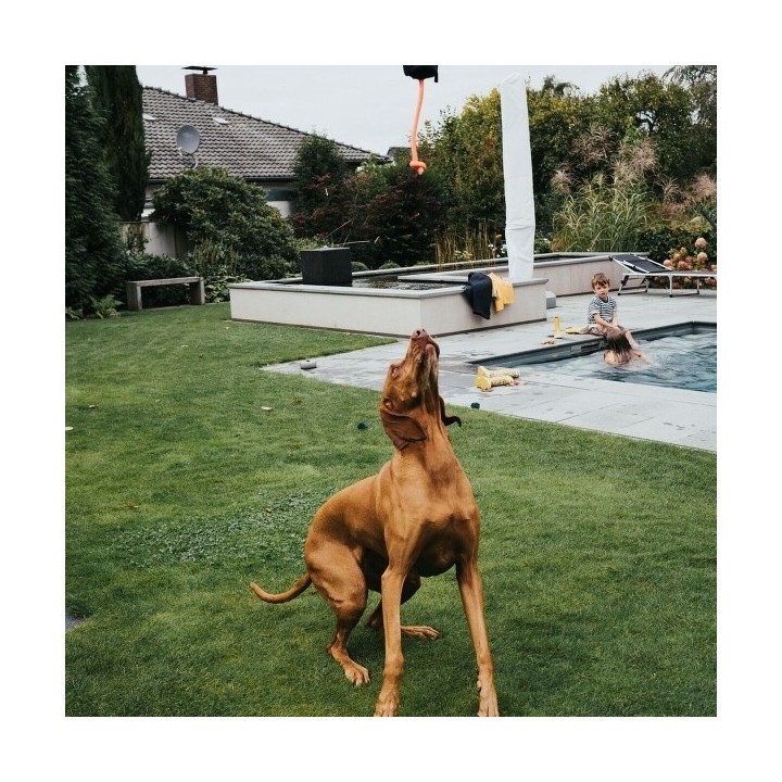 Emballage Hunter Dummy Snacks Noir Orange