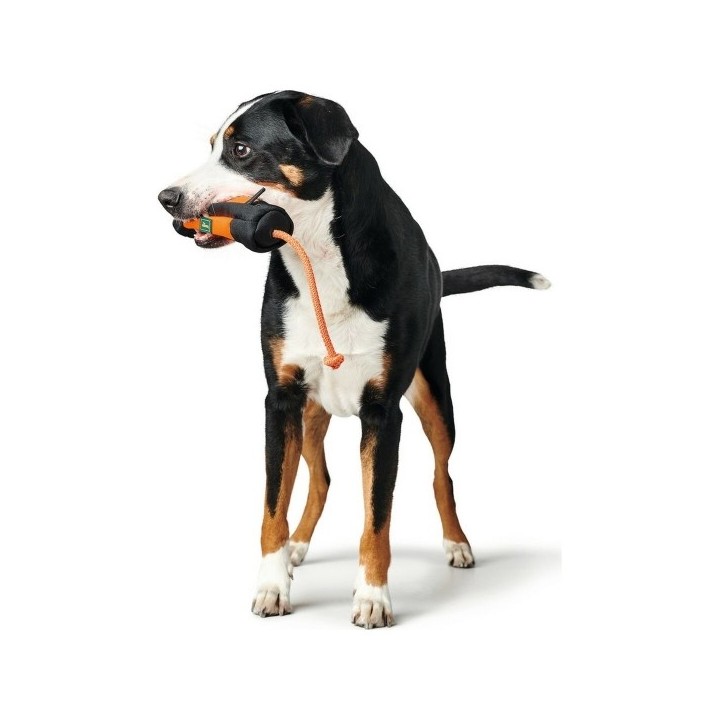 Emballage Hunter Dummy Snacks Noir Orange