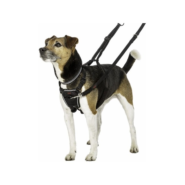 Harnais pour Chien Company of Animals Halti Taille S (26 36 cm)