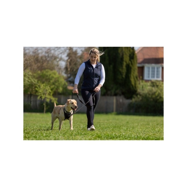 Harnais pour Chien Company of Animals Halti Taille S (26 36 cm)