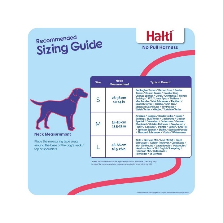 Harnais pour Chien Company of Animals Halti Taille S (26 36 cm)