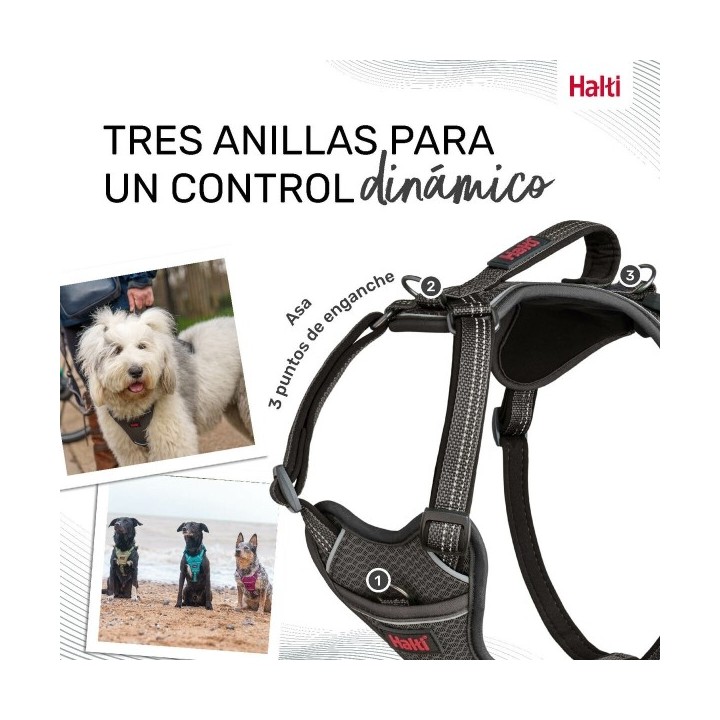 Harnais pour Chien Company of Animals Gris M 35 55 cm