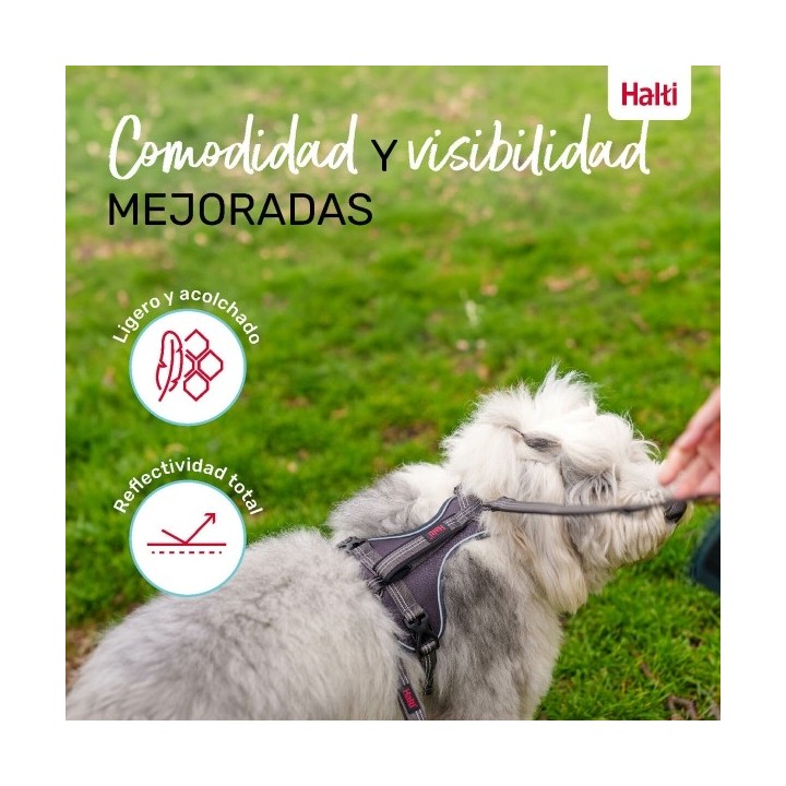 Harnais pour Chien Company of Animals Gris M 35 55 cm