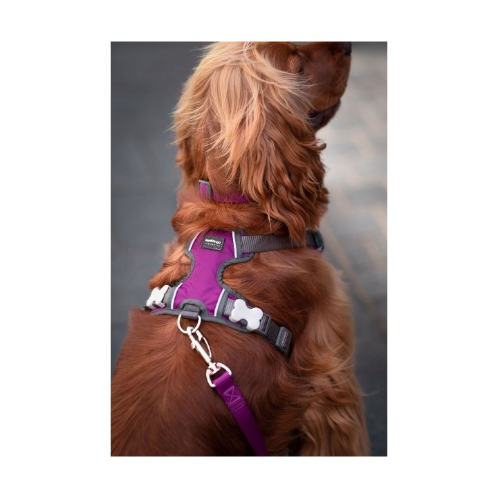 Harnais pour Chien Red Dingo Dingo 38 58 cm 46 63 cm Violet M