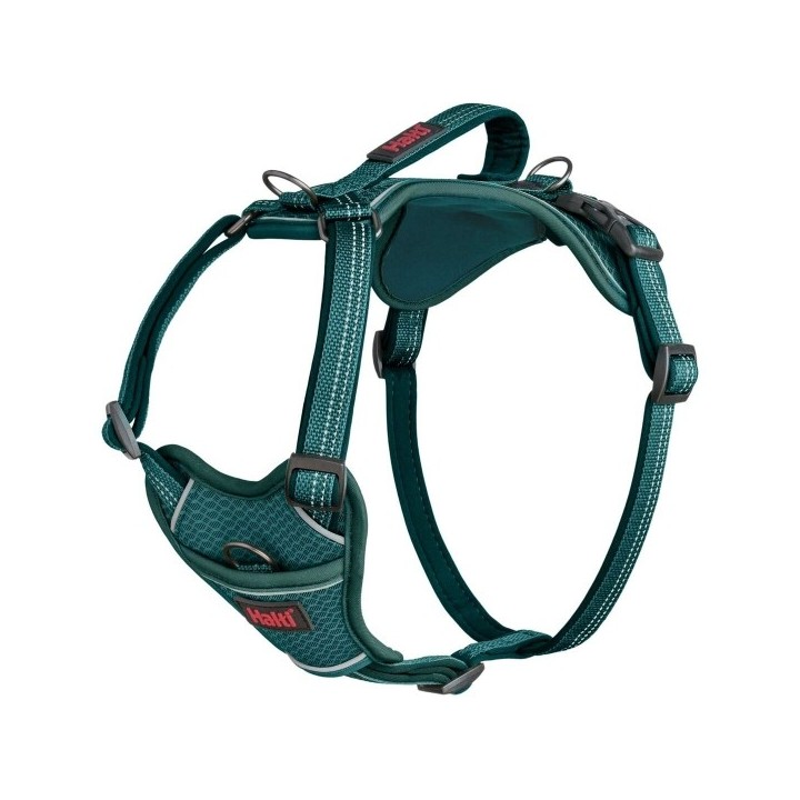 Harnais pour Chien Company of Animals Turquoise S 28 42 cm