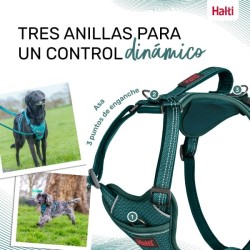Harnais pour Chien Company of Animals Turquoise S 28 42 cm