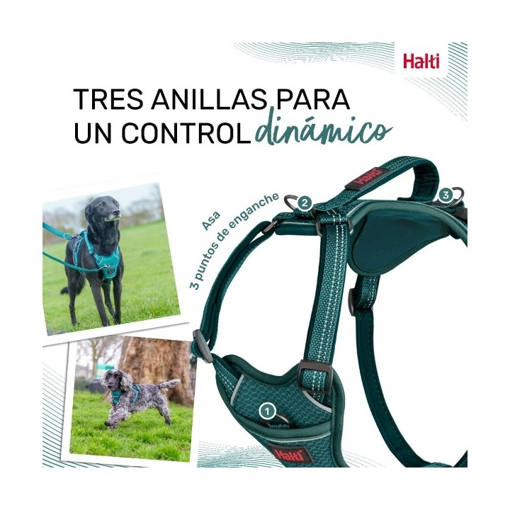 Harnais pour Chien Company of Animals Turquoise S 28 42 cm