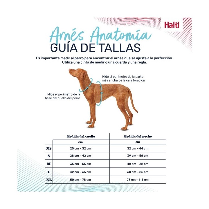 Harnais pour Chien Company of Animals Turquoise S 28 42 cm