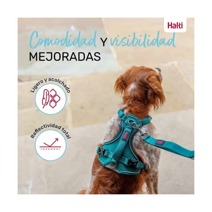 Harnais pour Chien Company of Animals Turquoise S 28 42 cm