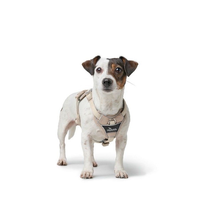 Harnais pour Chien Hunter DIVO UP Beige S/M