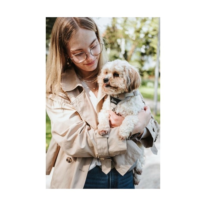 Harnais pour Chien Hunter DIVO UP Beige S/M