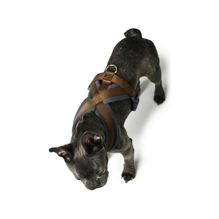 Harnais pour Chien Hunter London Comfort XS S 39 47 cm Marron