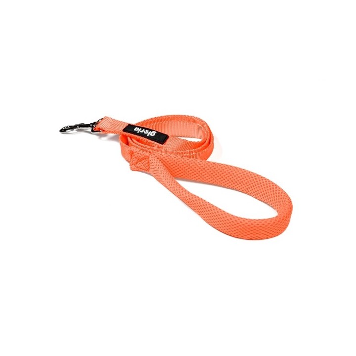 Laisse pour Chien Gloria Orange S