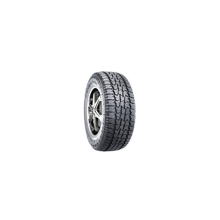 255/60 R20 XL 113H TL AT-5+